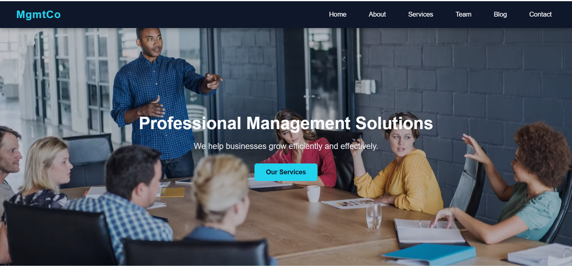 Management Consultancy